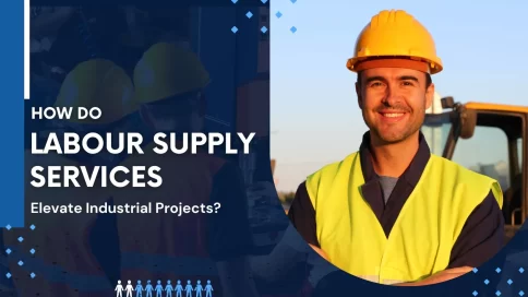 expert labour supply services